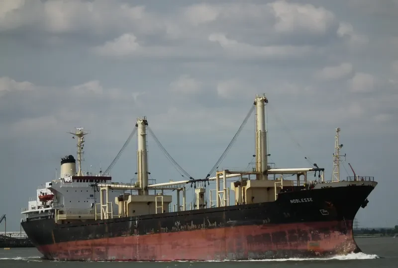 NOBLESSE Bulk Carrier IMO 7626499 photo 8