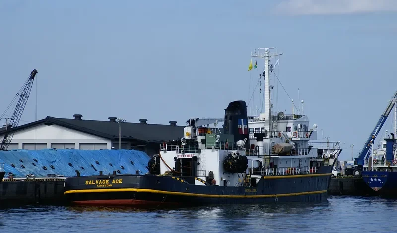SALVAGE ACE General Cargo IMO 7626841 photo 6