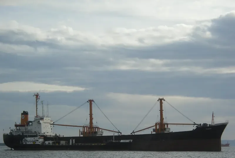 TRANSFAIR General Cargo IMO 7627302 photo 2