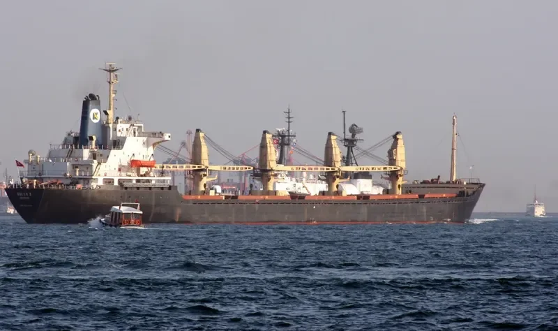 RUN FENG Bulk Carrier IMO 7627429 photo 2