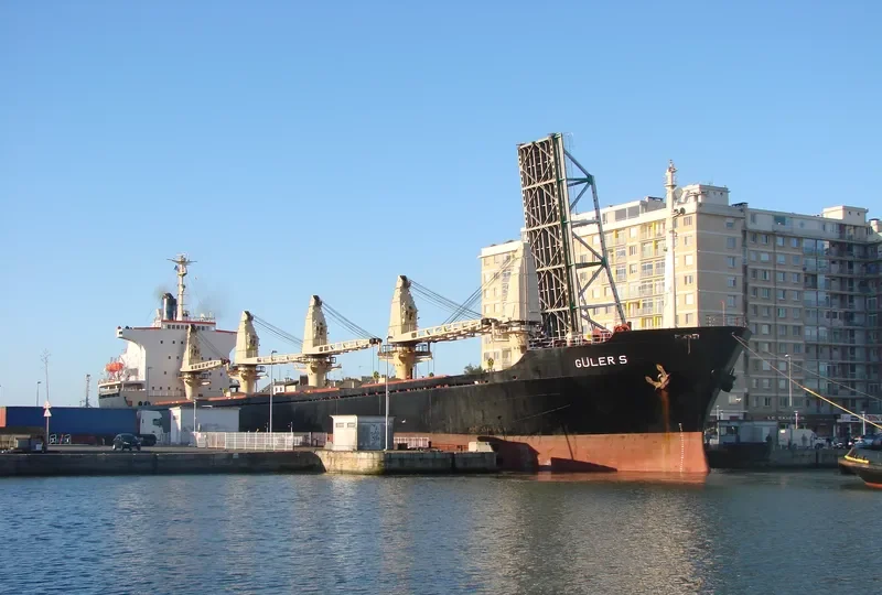 RUN FENG Bulk Carrier IMO 7627429 photo 4