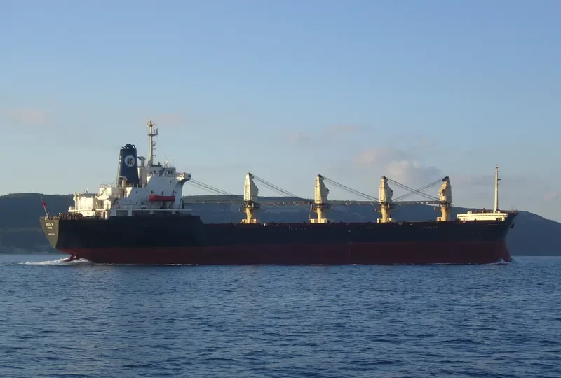 RUN FENG Bulk Carrier IMO 7627429 photo 5