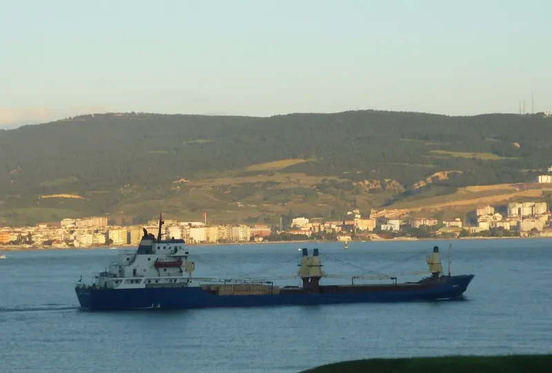 MINA F General Cargo IMO 7627613 photo 5