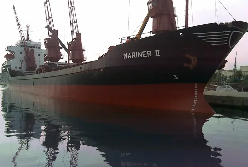 RED TOWER General Cargo IMO 7627625 photo 3