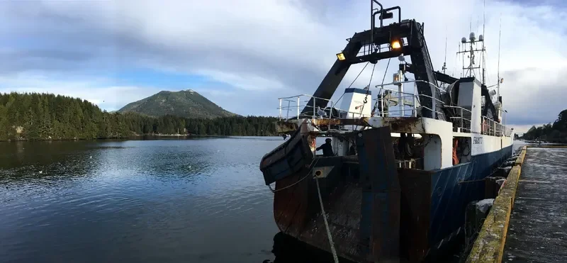 FROSTI General Cargo IMO 7628473