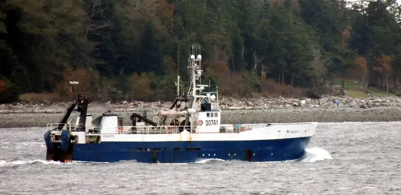 FROSTI General Cargo IMO 7628473 photo 7