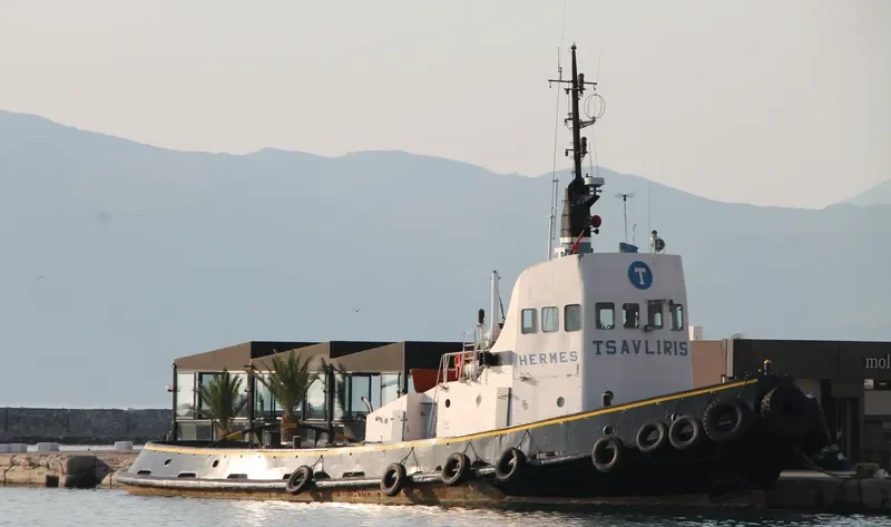 HERMES Tug Boat IMO 7628978 photo 6