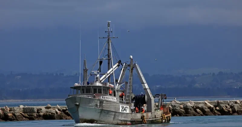 RESOLUTION II Fishing Vessel IMO 7629805 photo 10