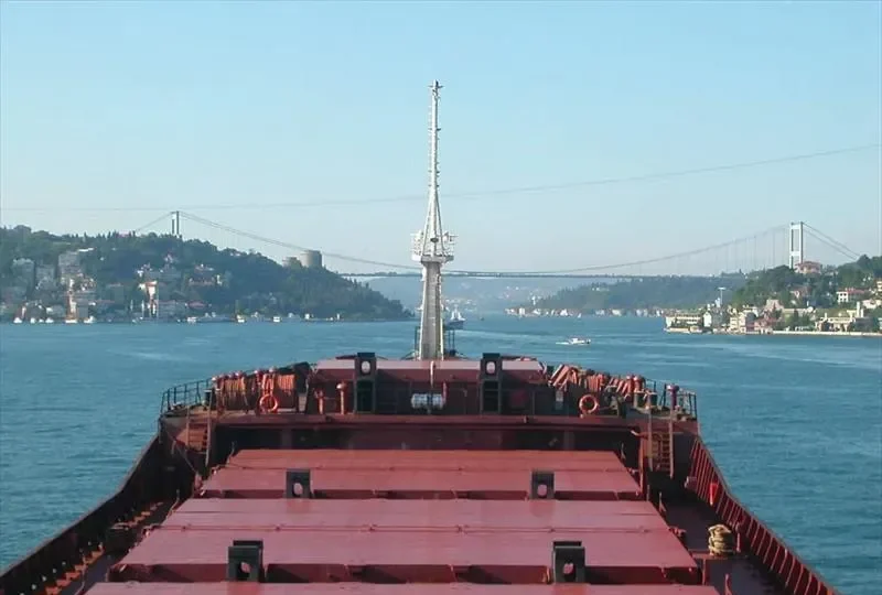 FORT GEORGE Bulk Carrier IMO 7630139 photo 3