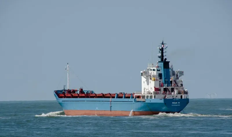 TAMARA General Cargo IMO 7631042 photo 10