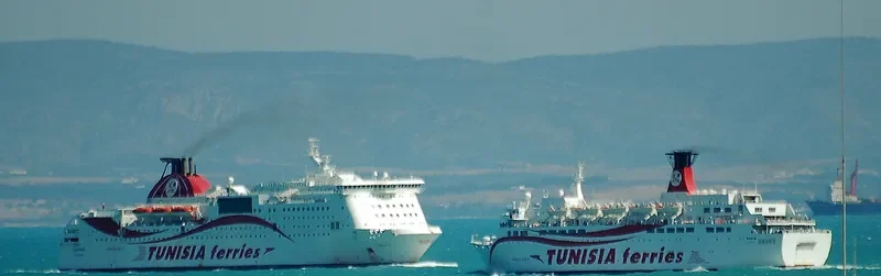 COTUNAVS5 Ro-Ro Vessel IMO 7631236 photo 5
