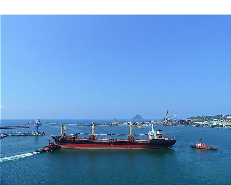 CLIO Bulk Carrier IMO 7632412 photo 6