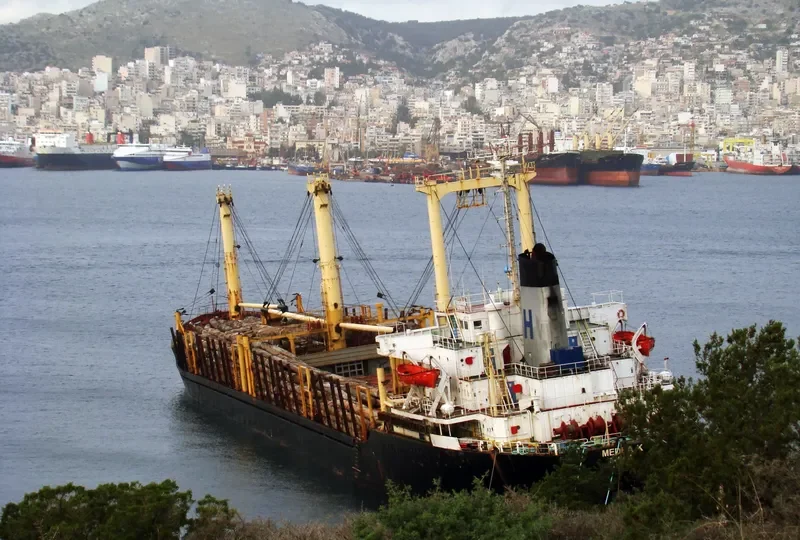MED Bulk Carrier IMO 7632553 photo 17