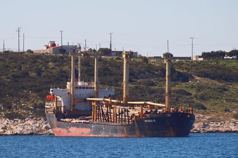 MED Bulk Carrier IMO 7632553 photo 25