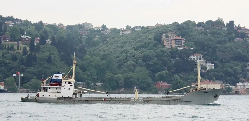 AREL General Cargo IMO 7634197 photo 3