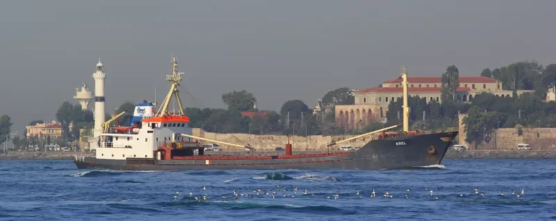 AREL General Cargo IMO 7634197 photo 7