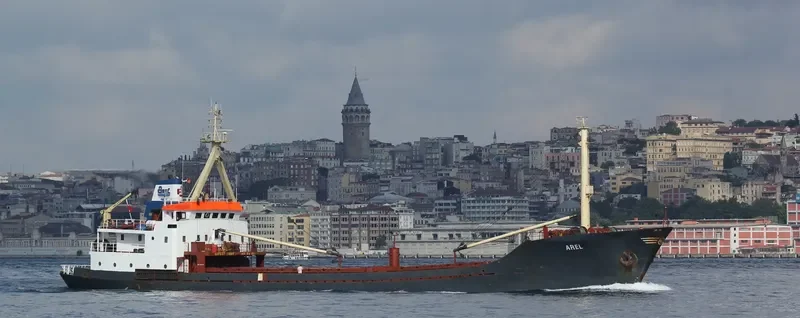 AREL General Cargo IMO 7634197 photo 10