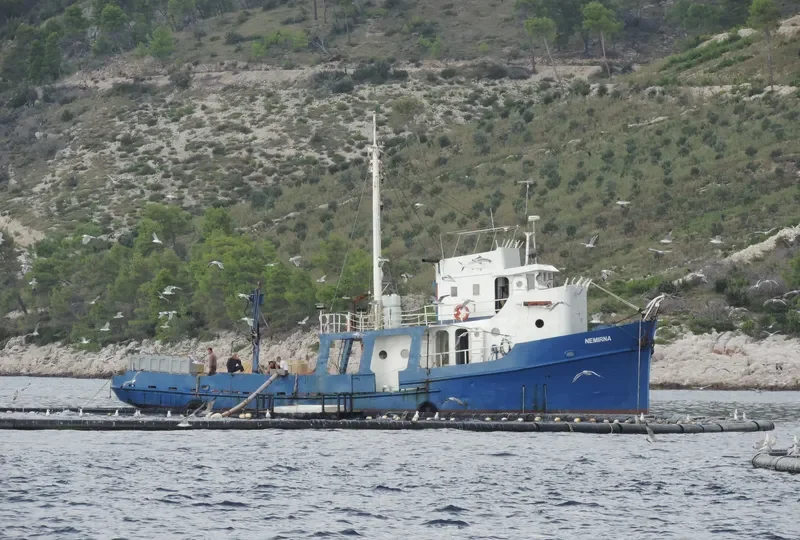 NEMIRNA Fishing Vessel IMO 7634616