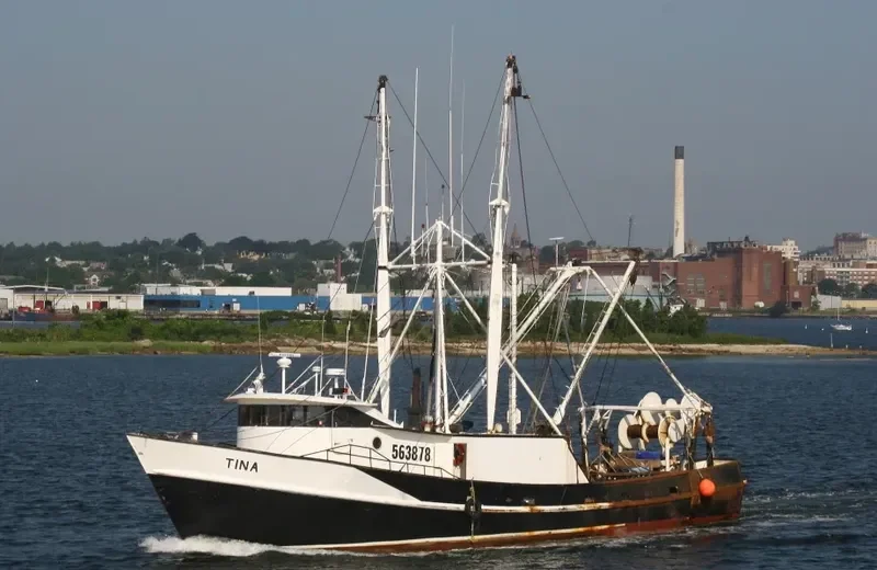 TINA Fishing Vessel IMO 7634953 photo 5