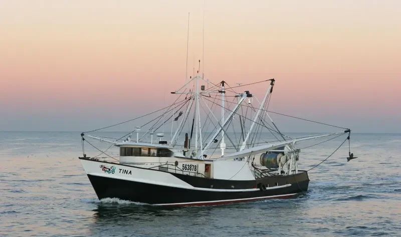 TINA Fishing Vessel IMO 7634953 photo 6
