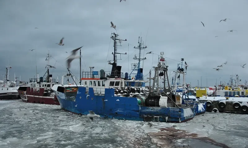 WLA 291 Fishing Vessel IMO 7635787 photo 8