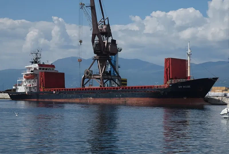 ARGONAUT Container Ship IMO 7635933