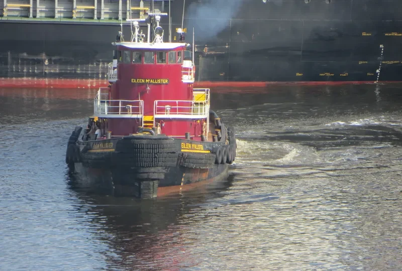 EILEEN MCALLISTER General Cargo IMO 7635957 photo 9