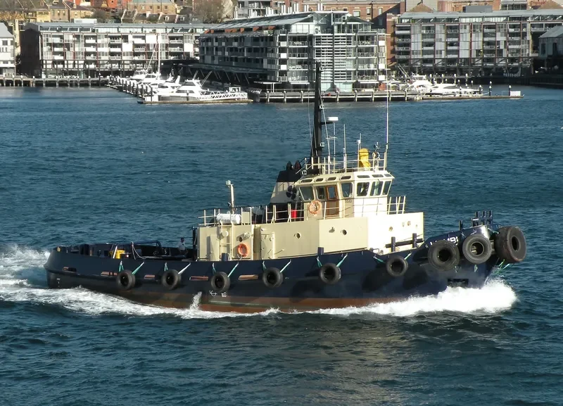 WOMBI Tug Boat IMO 7636016 photo 3