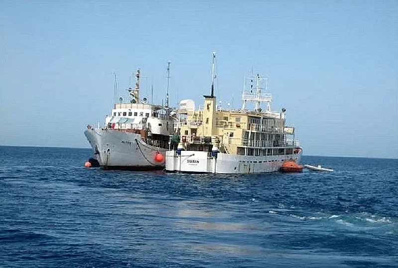 GOLDEN PALM Research Vessel IMO 7636339 photo 4