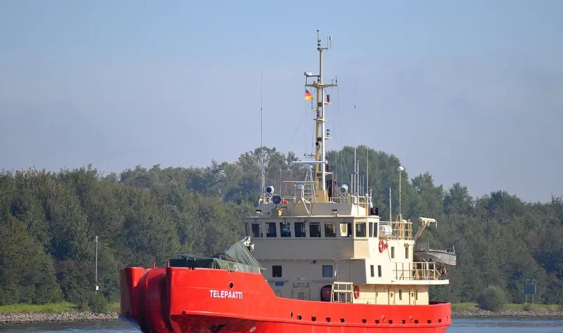 TELEPAATTI General Cargo IMO 7636341 photo 6