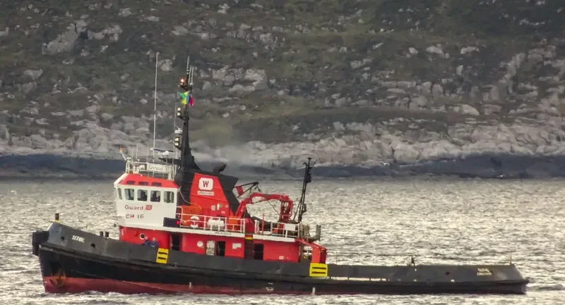 SERVAL Tug Boat IMO 7636365 photo 2