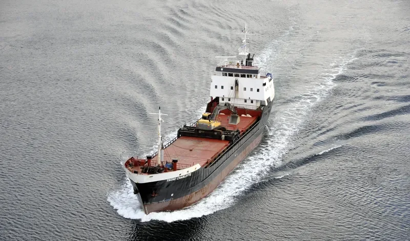 NIKOLAOS SKOUFAS General Cargo IMO 7636987 photo 8