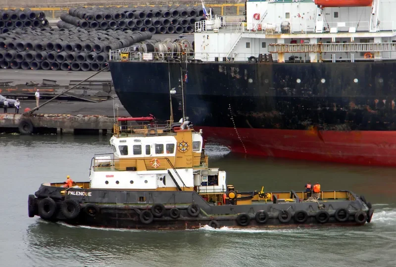 PALENQUE Tug Boat IMO 7637072 photo 4