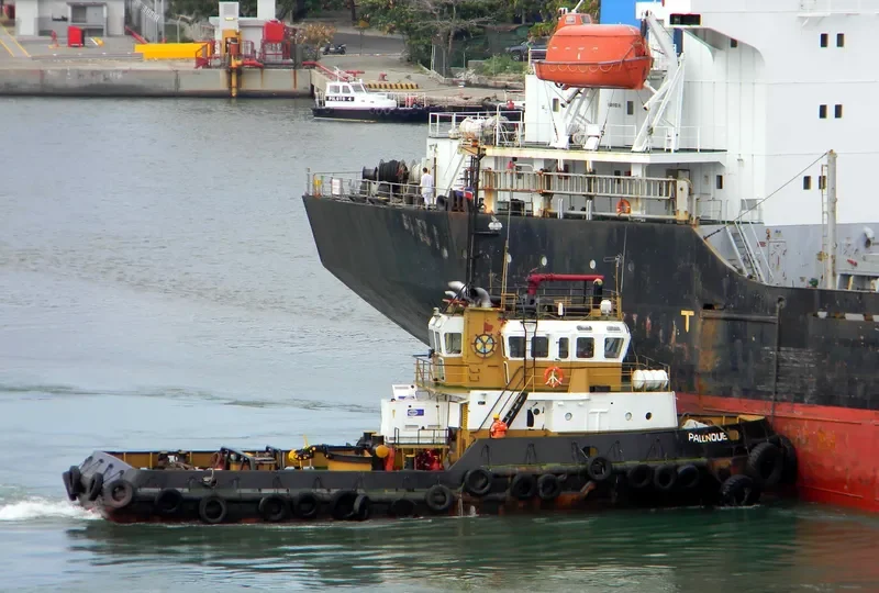 PALENQUE Tug Boat IMO 7637072 photo 7
