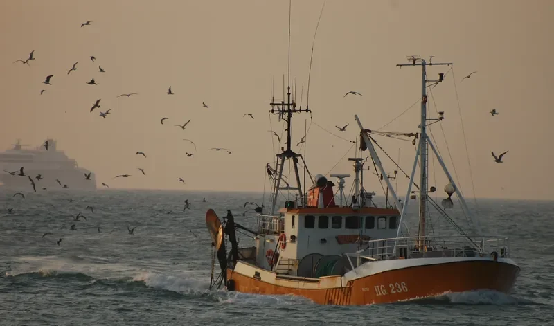 MILTON Fishing Vessel IMO 7637292 photo 4