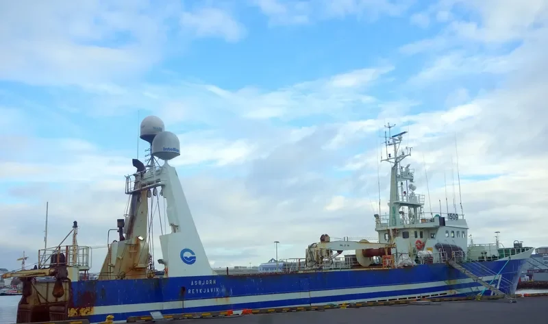 NAMI General Cargo IMO 7638387 photo 4