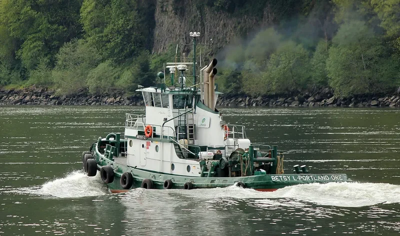 DANIEL FOSS Tug Boat IMO 7638454 photo 3