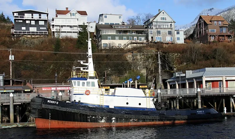 WENDY O Tug Boat IMO 7638466 photo 3
