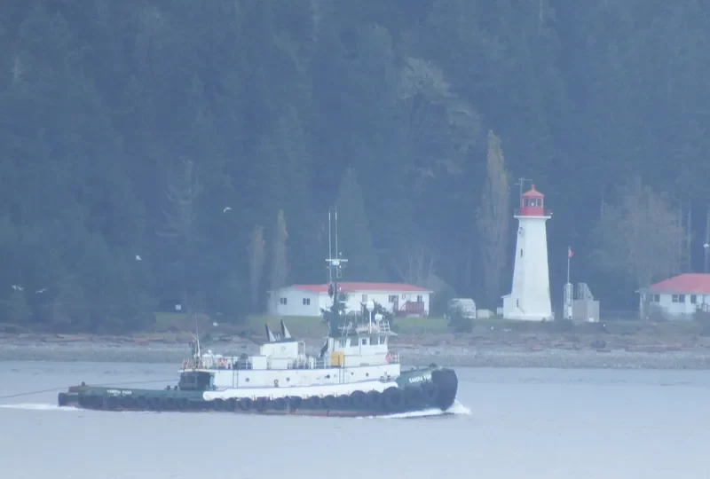 IVER FOSS Tug Boat IMO 7638478 photo 4