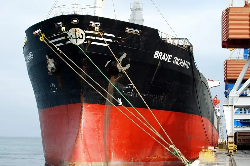 BRAVE RICHARD Bulk Carrier IMO 7639692 photo 3
