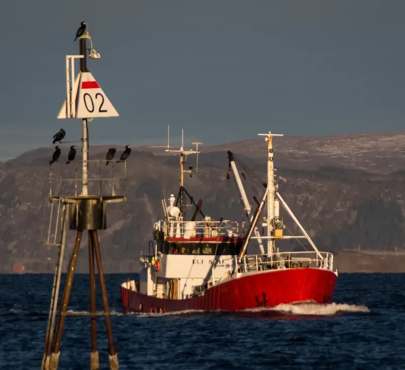 LAUGAR Fishing Vessel IMO 7640079 photo 6