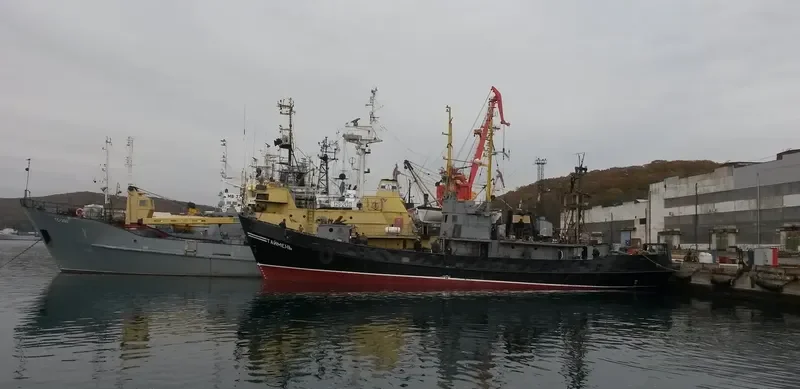 TAYMEN Fishing Vessel IMO 7640885