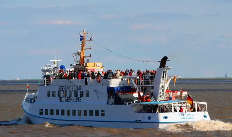 FLIPPER Passenger Ship IMO 7641190 photo 6