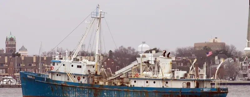REEDVILLE General Cargo IMO 7641671
