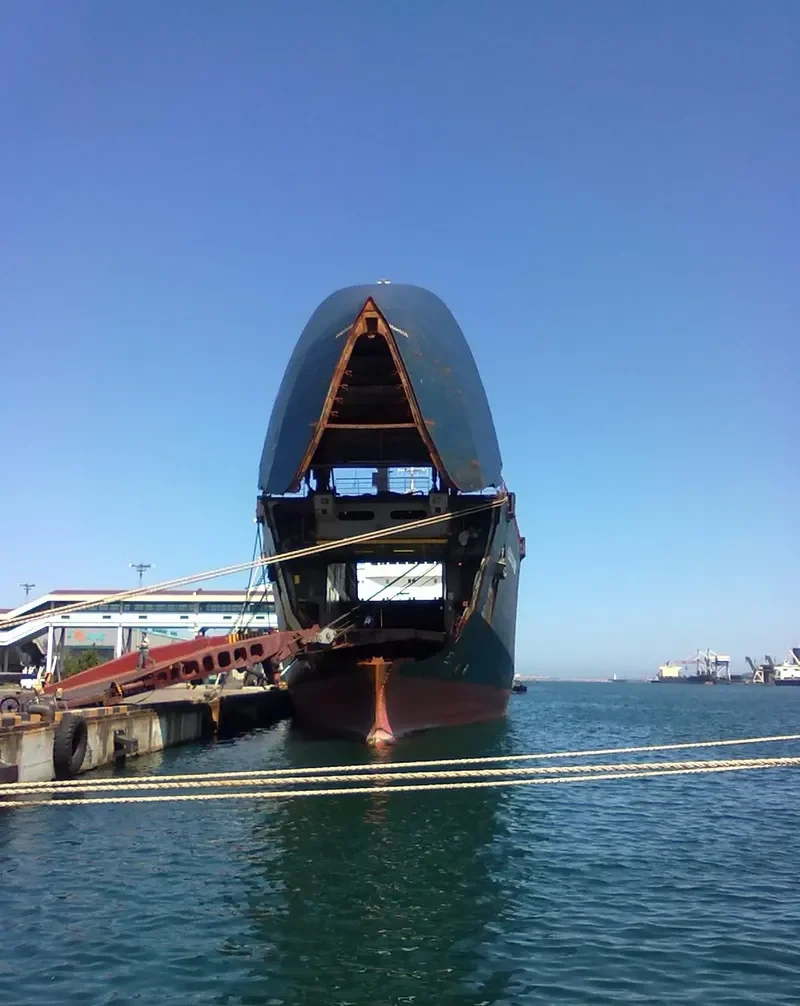 FESCO GAVRIIL Ro-Ro IMO 7642493 photo 7