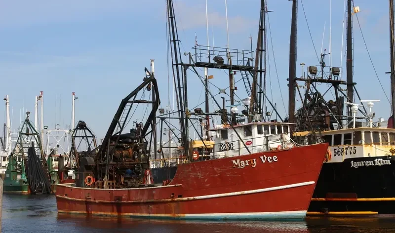 MARY VEE Fishing Vessel IMO 7643502 photo 2