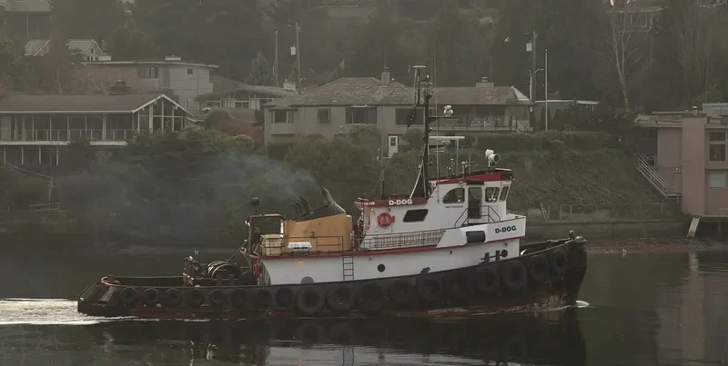 D DOG Tug Boat IMO 7643629