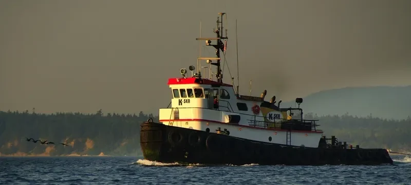 D DOG Tug Boat IMO 7643629 photo 2