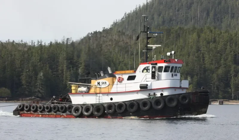 D DOG Tug Boat IMO 7643629 photo 3