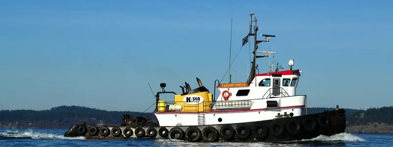 D DOG Tug Boat IMO 7643629 photo 4